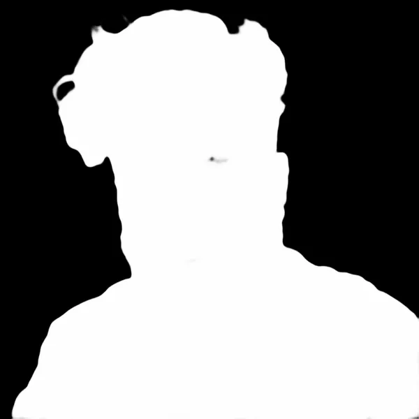 bearded man portrait, birefnet-cod alpha matte