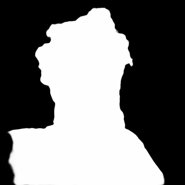 messy hair bearded portrait, birefnet-cod alpha matte