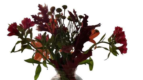 autumn bouquet vase, birefnet-dis cutout