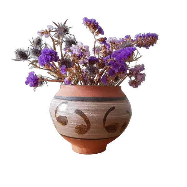dried flowers clay vase, birefnet-dis cutout