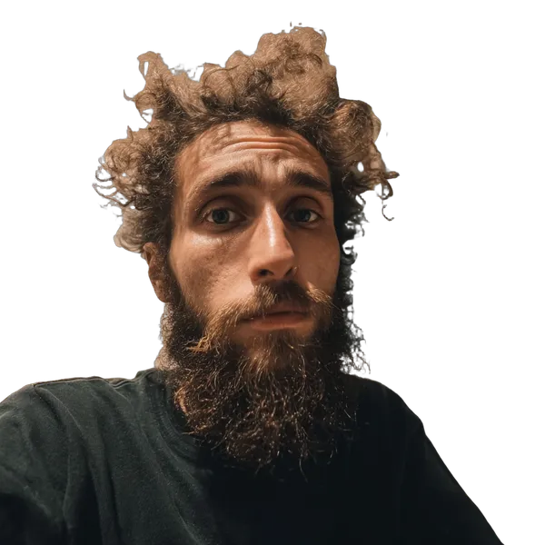 messy hair bearded portrait, birefnet-dis cutout