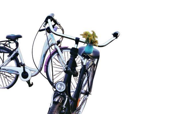 two bikes field, birefnet-dis cutout