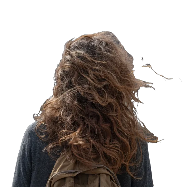 windblown curly hair backpack, birefnet-dis cutout