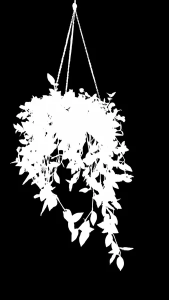 hanging plant window, birefnet-dis alpha matte