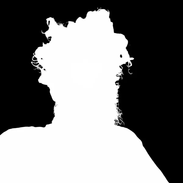 messy hair bearded portrait, birefnet-dis alpha matte