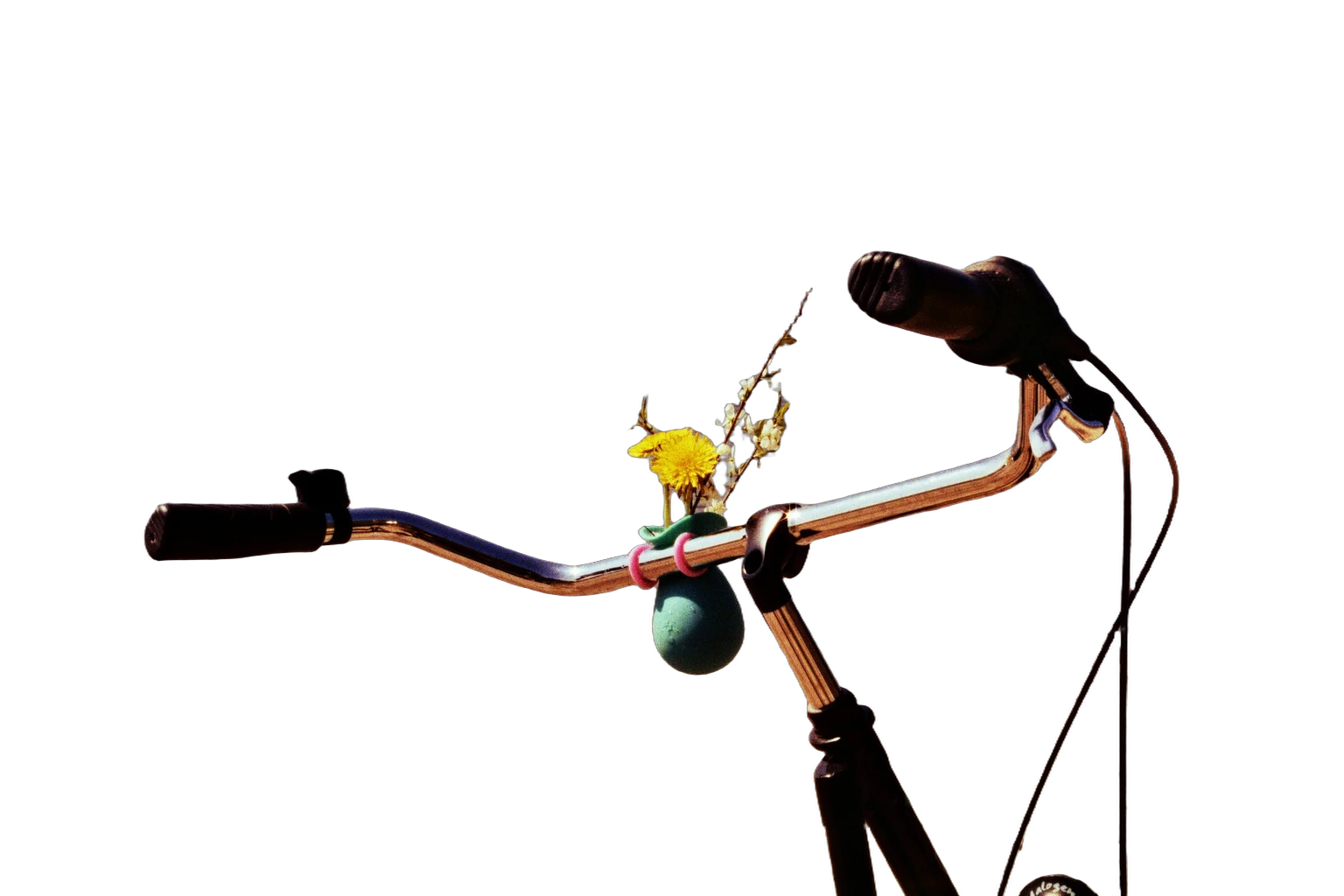 bike handlebar near beach, BiRefNet Lite cutout
