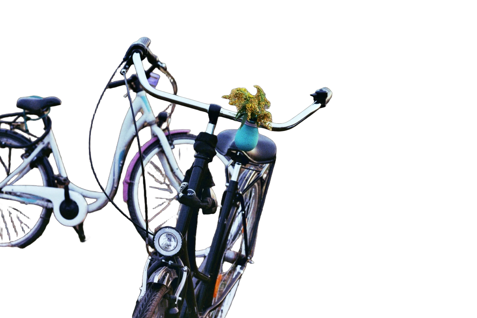 two bikes field, BiRefNet Lite cutout