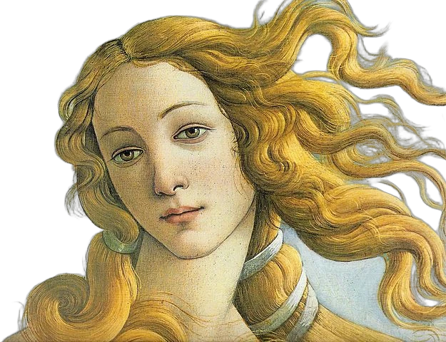 venus, BiRefNet Lite cutout