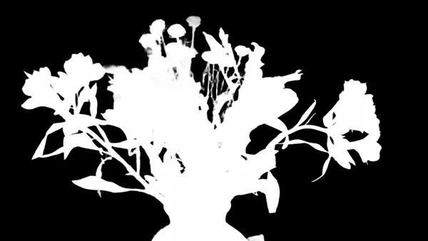 BiRefNet Lite alpha matte: autumn bouquet vase