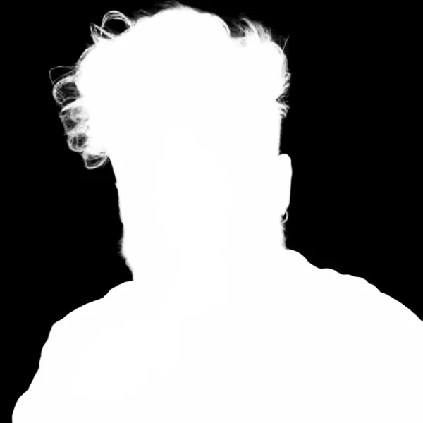 BiRefNet Lite alpha matte: bearded man portrait