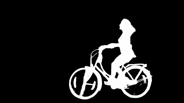 BiRefNet Lite alpha matte: cyclist motion blur field