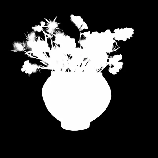 BiRefNet Lite alpha matte: dried flowers clay vase