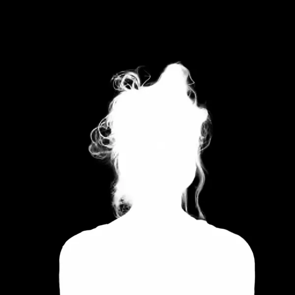 BiRefNet Lite alpha matte: messy bun cityscape
