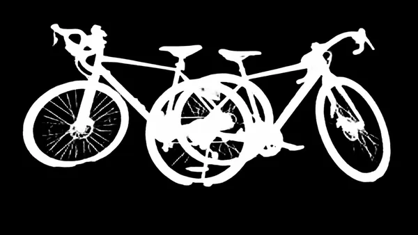 BiRefNet Lite alpha matte: two gravel bikes park