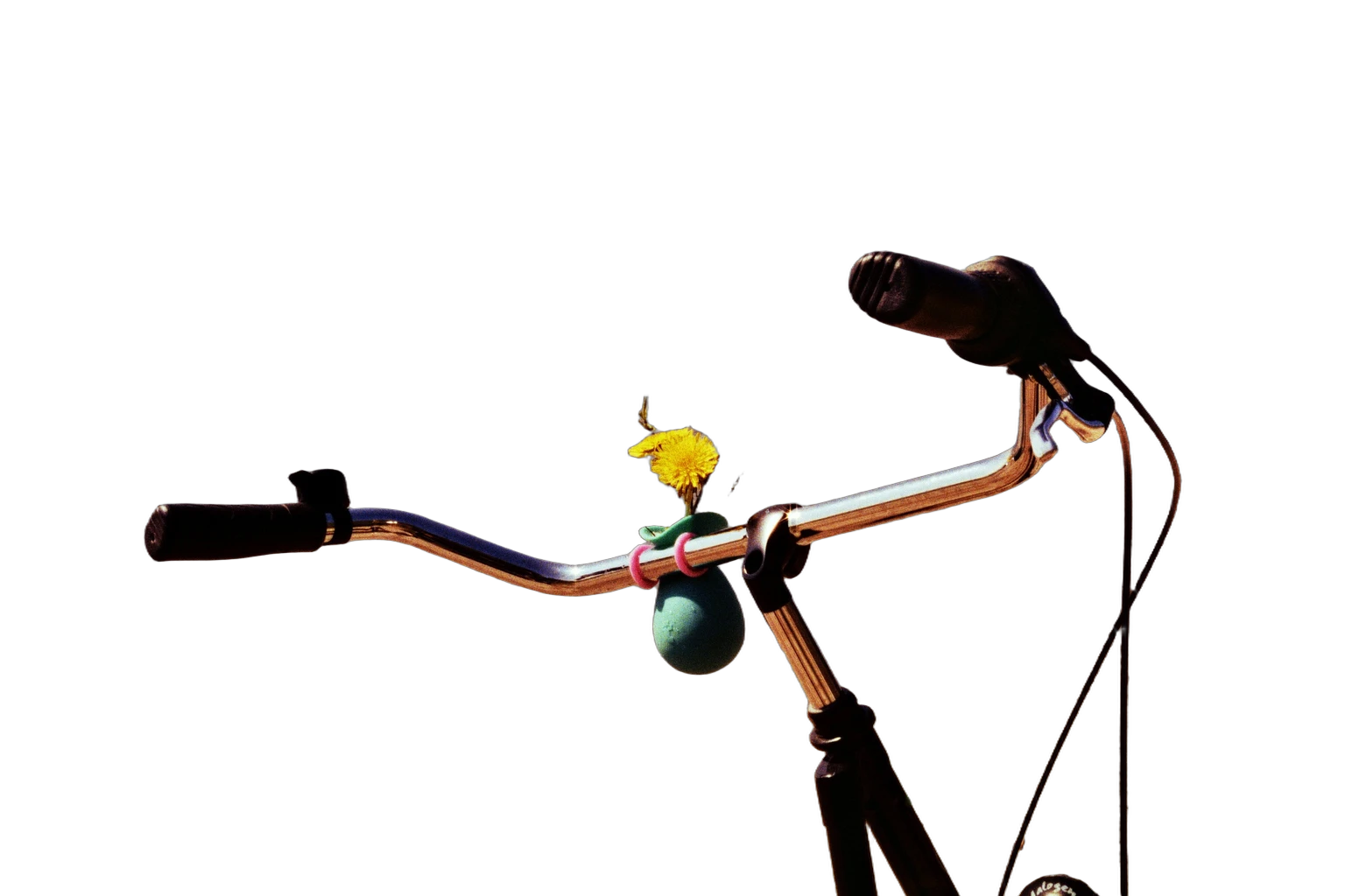 bike handlebar near beach, BiRefNet cutout