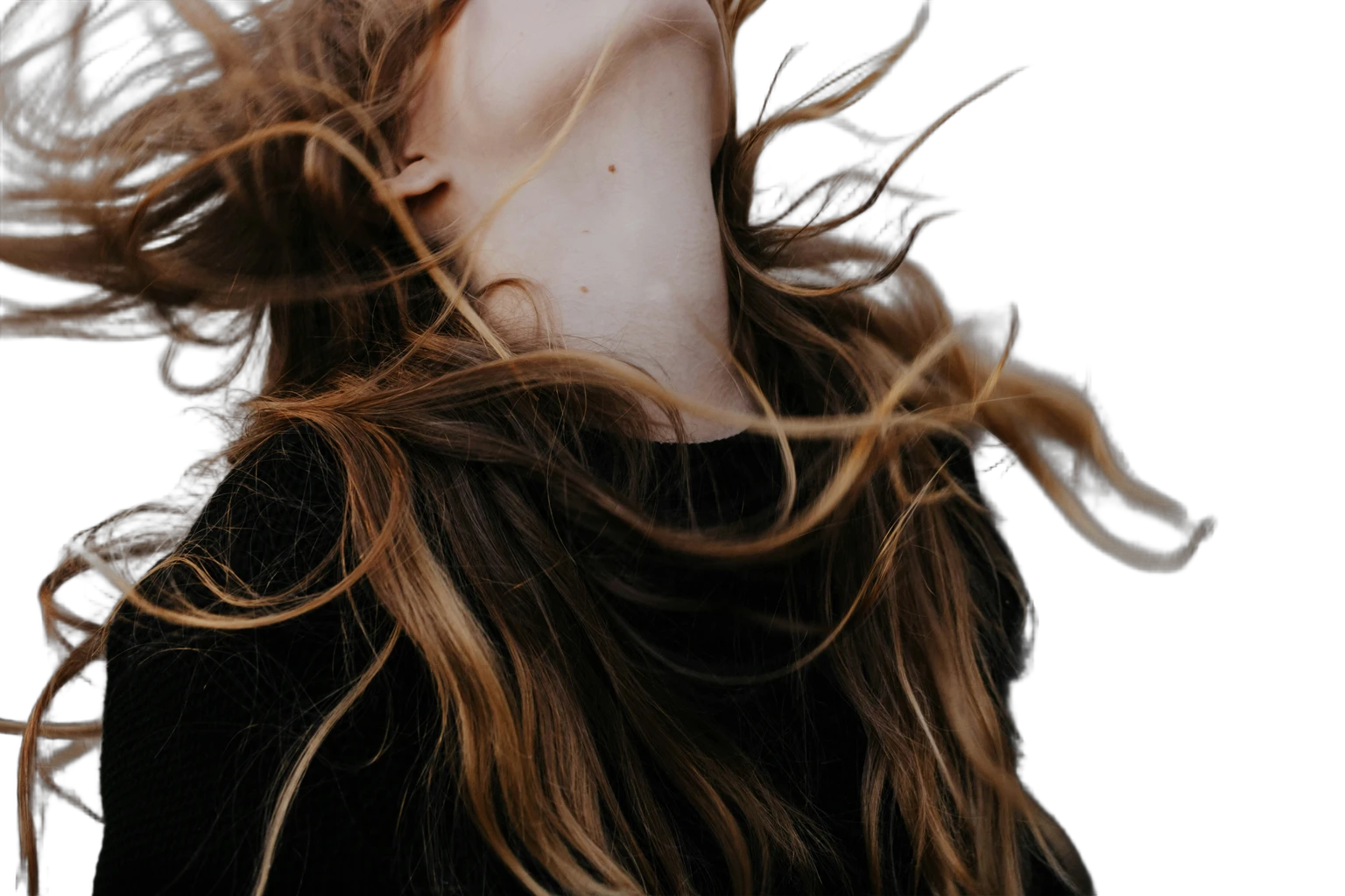 rachel coyne l1LT rVqbDw, BiRefNet cutout