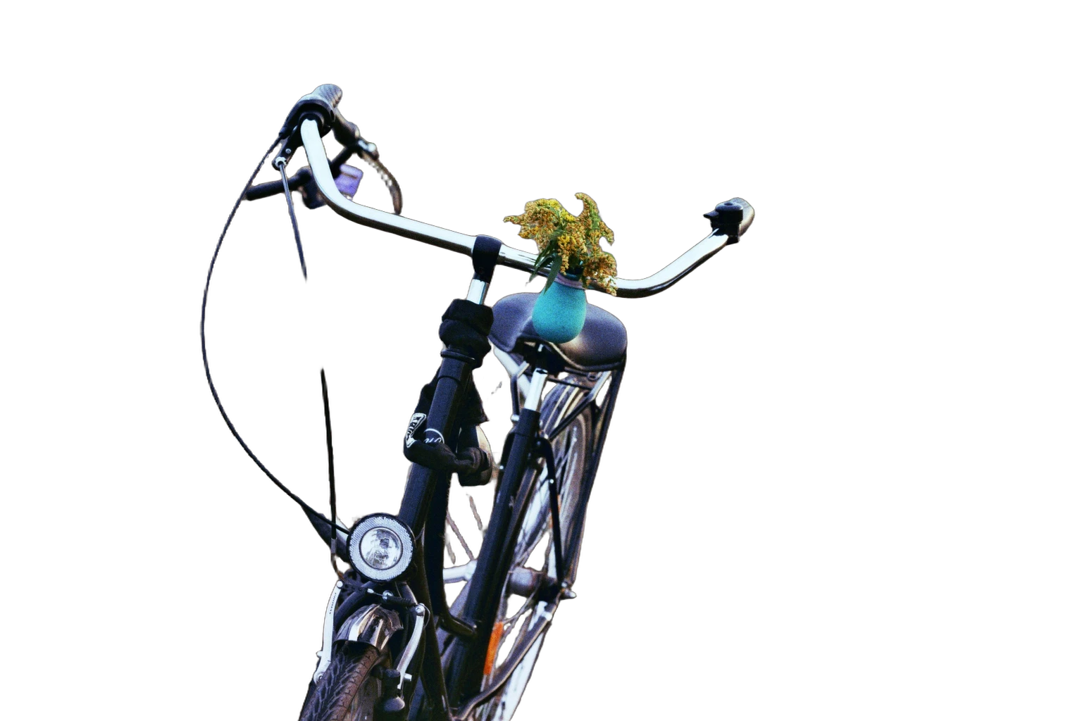 two bikes field, BiRefNet cutout