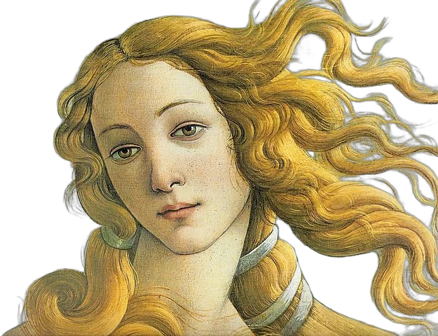venus, BiRefNet cutout