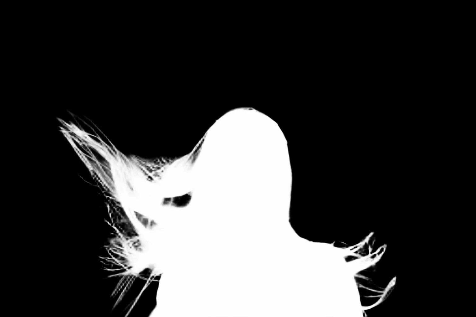 BiRefNet General alpha matte: alexandr bormotin u6Igr0mzcHQ