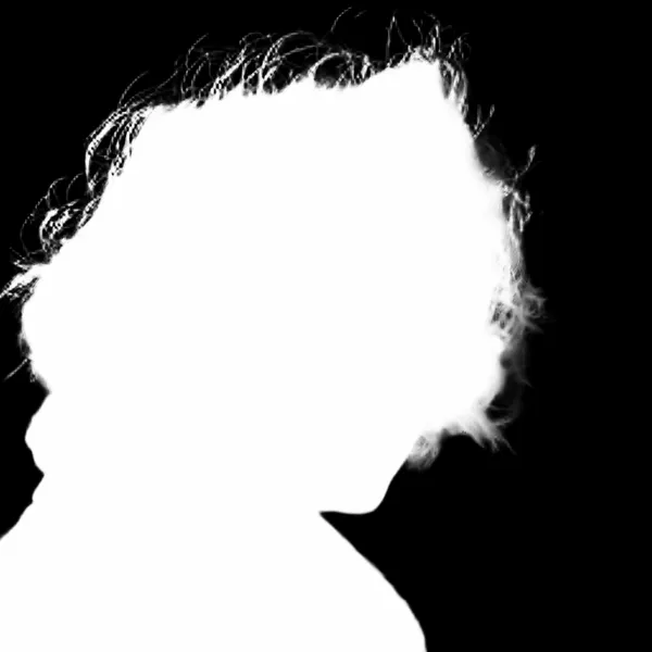 BiRefNet General alpha matte: windblown curly portrait