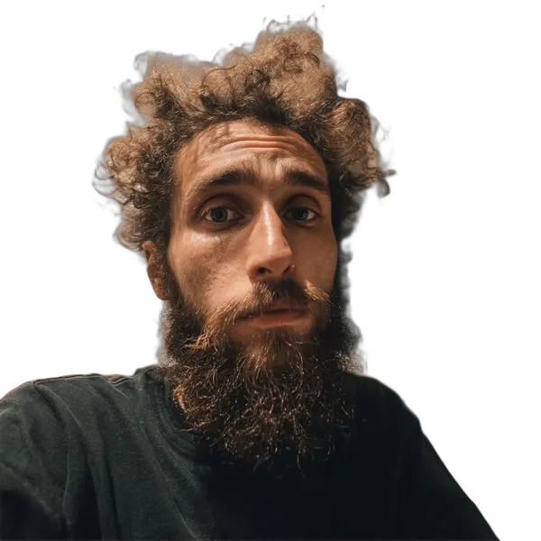 messy hair bearded portrait, birefnet-hrsod cutout