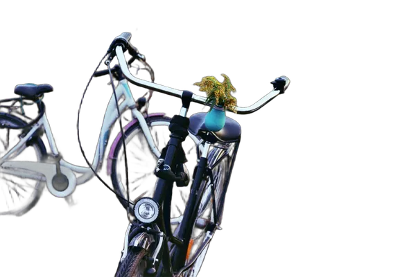 two bikes field, birefnet-hrsod cutout
