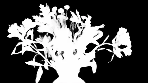 autumn bouquet vase, birefnet-hrsod alpha matte