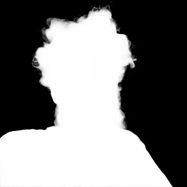 messy hair bearded portrait, birefnet-hrsod alpha matte