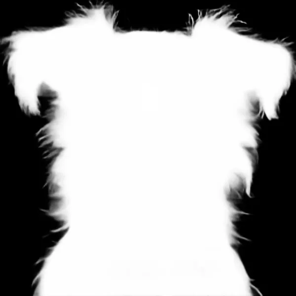 terrier dog mugshot, birefnet-hrsod alpha matte