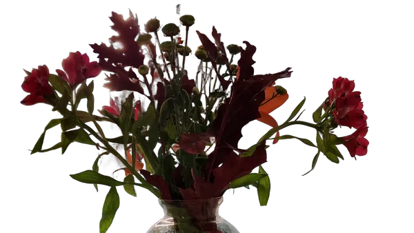 autumn bouquet vase, birefnet-massive cutout