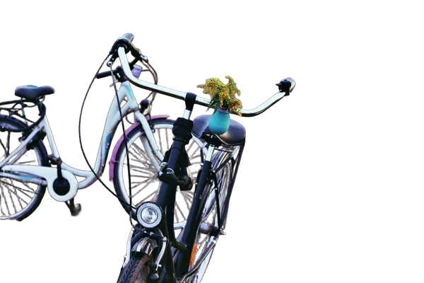 two bikes field, birefnet-massive cutout