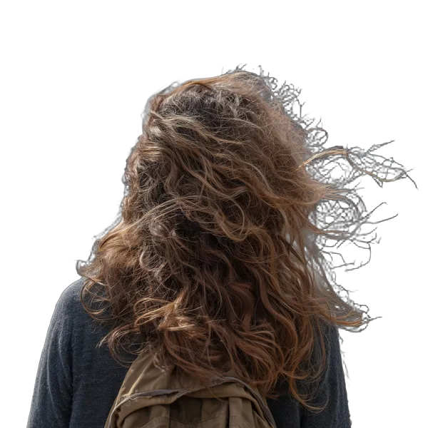 windblown curly hair backpack, birefnet-massive cutout