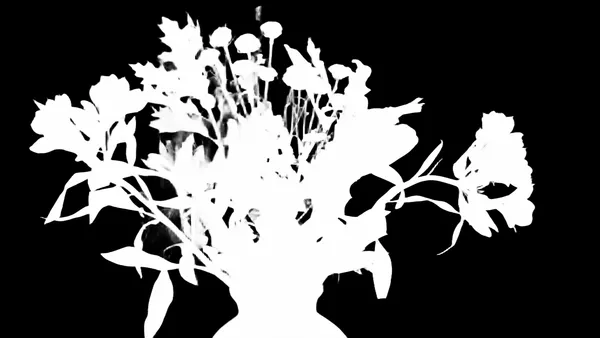 autumn bouquet vase, birefnet-massive alpha matte