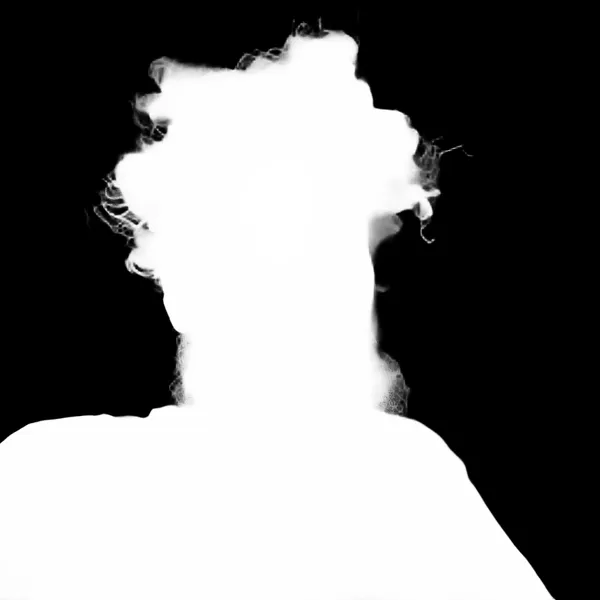 messy hair bearded portrait, birefnet-massive alpha matte