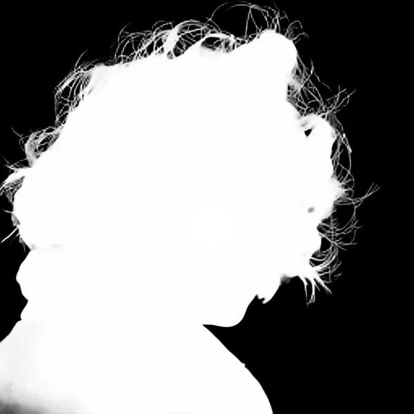 windblown curly portrait, birefnet-massive alpha matte