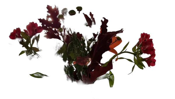 autumn bouquet vase, birefnet-portrait cutout