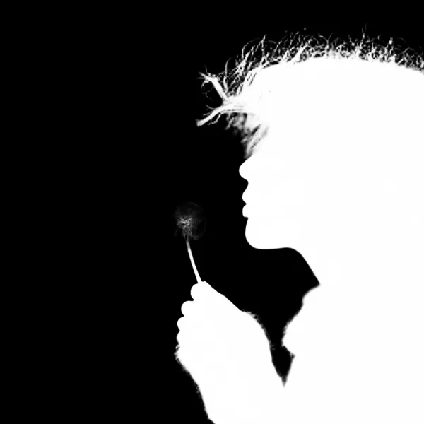 blowing dandelion seeds, birefnet-portrait alpha matte