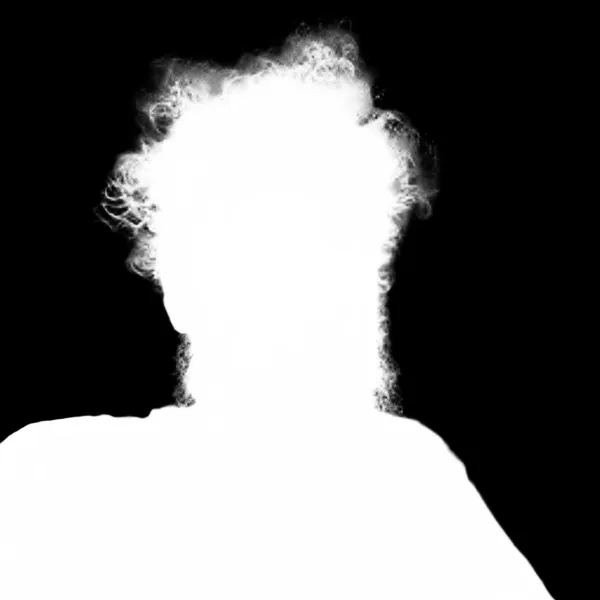 messy hair bearded portrait, birefnet-portrait alpha matte