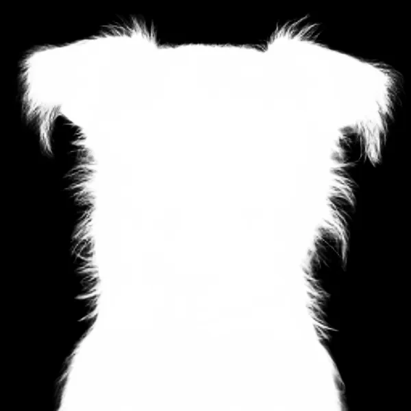 terrier dog mugshot, birefnet-portrait alpha matte