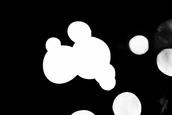 BiRefNet alpha matte: pieter Qa8Y_W4PORw