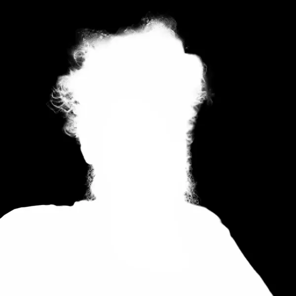BRIA RMBG alpha matte: messy hair bearded portrait