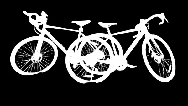 BRIA RMBG alpha matte: two gravel bikes park