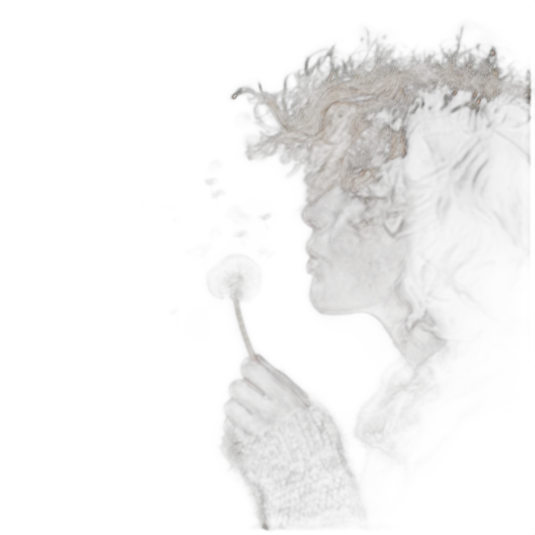 blowing dandelion seeds, isnet-anime cutout