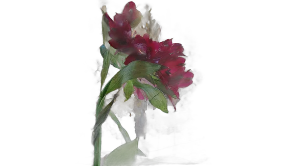 red flower balcony bokeh, isnet-anime cutout