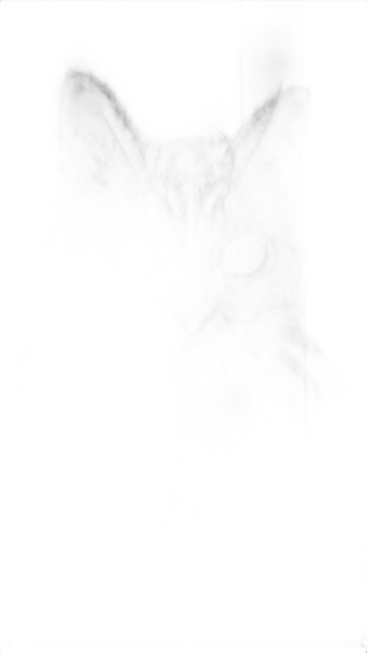 tabby cat portrait, isnet-anime cutout