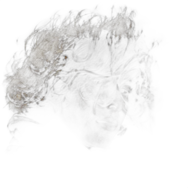 windblown curly portrait, isnet-anime cutout