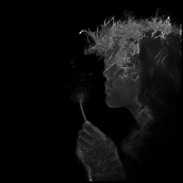 blowing dandelion seeds, isnet-anime alpha matte