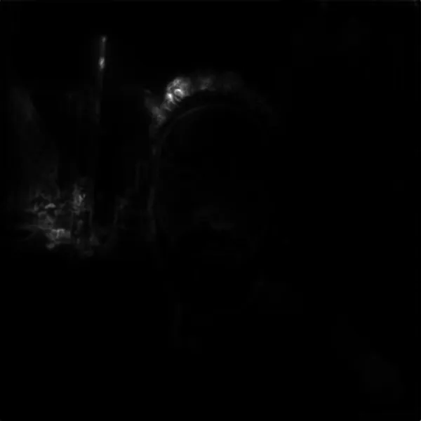 street portrait man, isnet-anime alpha matte