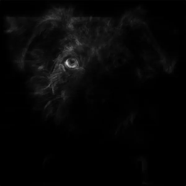 terrier dog mugshot, isnet-anime alpha matte