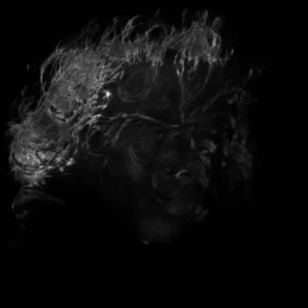 windblown curly portrait, isnet-anime alpha matte